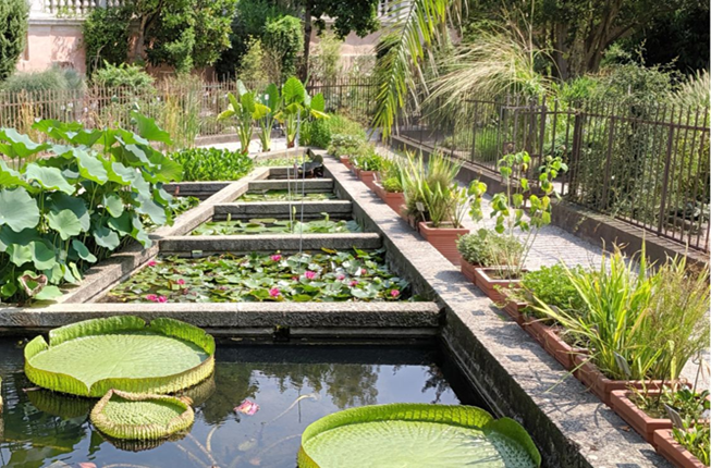 Collegamento a 31 marzo 2026 - Università Aperta PULSE - I edizione h. 10.00 - 16.00 - Orto Botanico di Padova